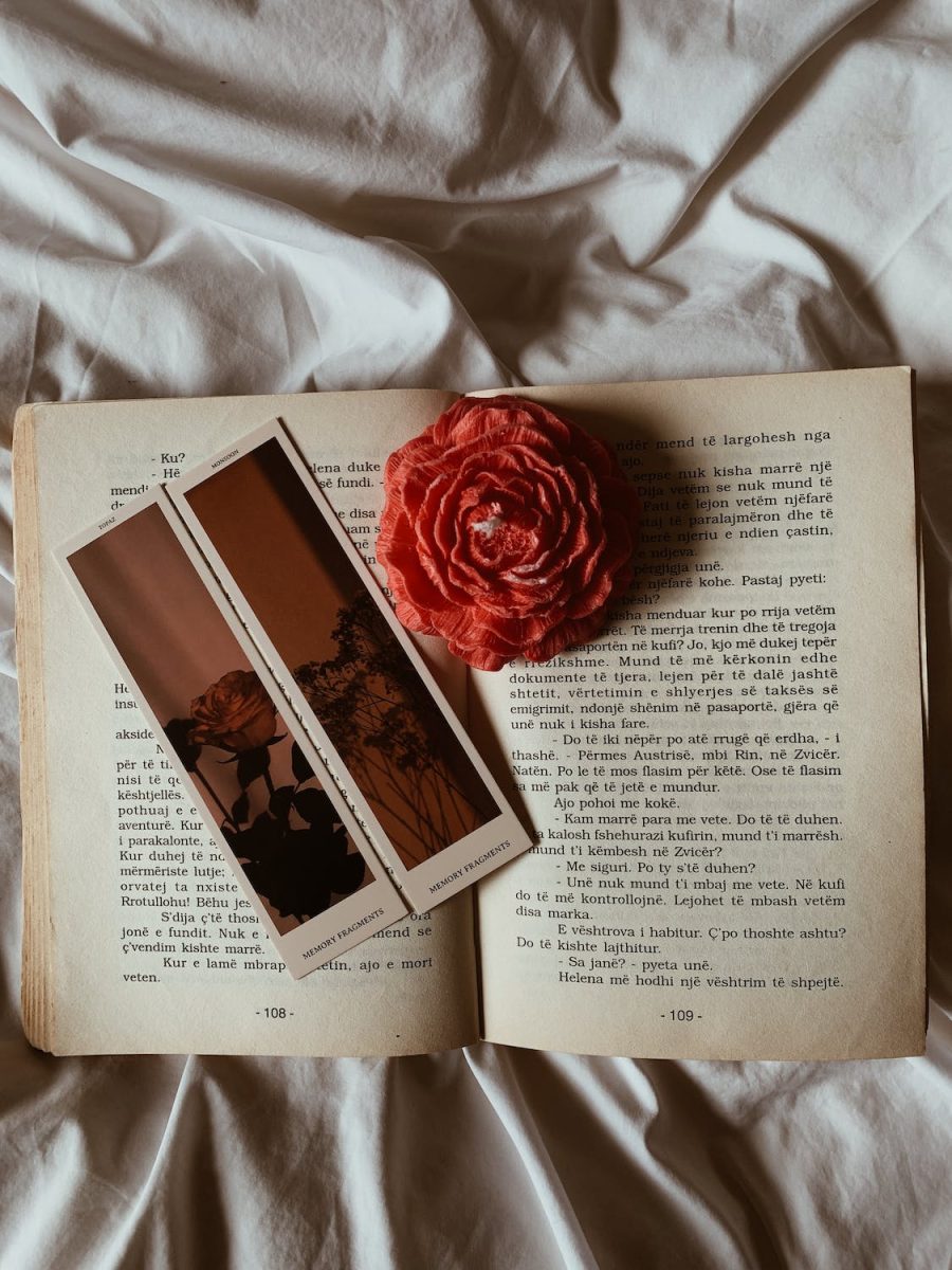 A lovely book and a blanket to illustrate the stories title.
Credit: https://www.pexels.com/photo/bookmark-and-flower-on-a-book-19355484/
