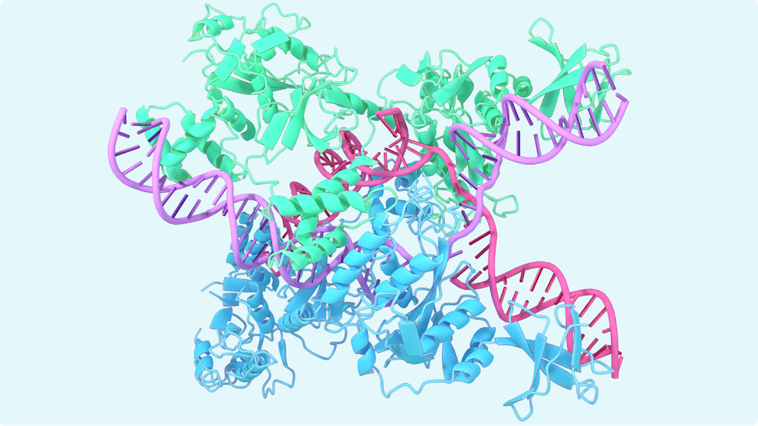 Chemical Origami — 2024 Nobel Prize in Chemistry