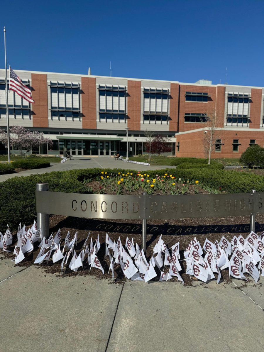 CCHS: Healing through Community