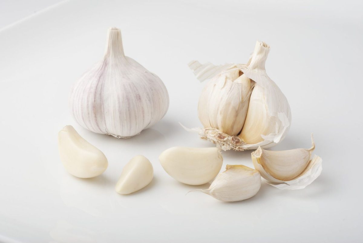 Garlic and Growing Up